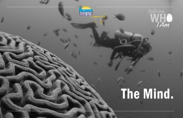 No. 6 in Chef’s Man in the Mirror Series: My Brain Creates My Reality