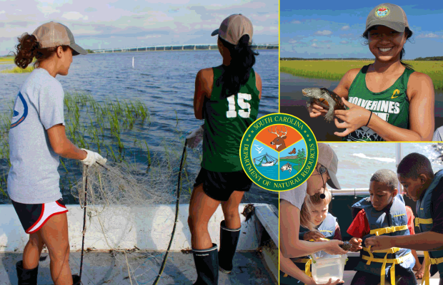 Hands-On Lab, Field Data & Environmental Ed: Apply for SCDNR Summer Diversity Internship