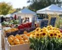 Lowcountry Farmers Markets Are Now Open: Here's Where To Go