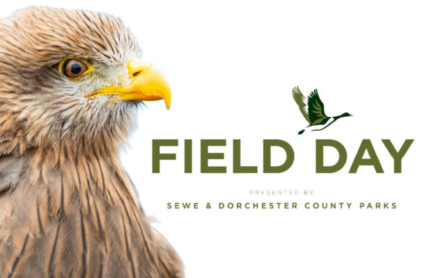 Experience the First Ever SEWE Field Day Experience the First Ever SEWE Field Day
